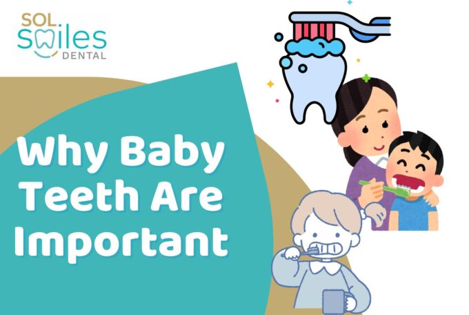 Why Baby Teeth Are Important: A Complete Guide for Parents